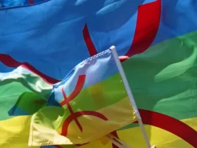 Drapeau amazigh - Taddart tv