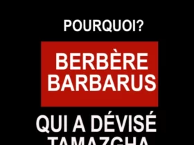 Qui a divisé TAMAZGHA taddart tv